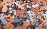 Color variant